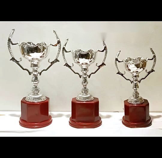 Trophy / Award Reference โ TPH-041